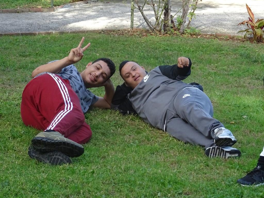 fat2 matisse