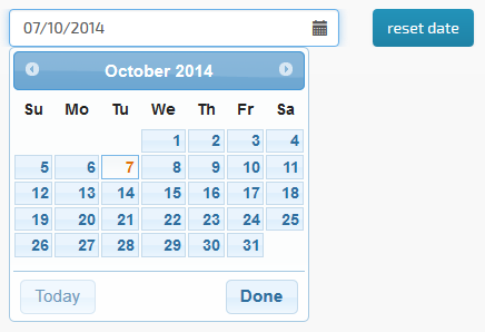 search_calendar_widget